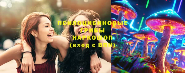 сатива Чегем