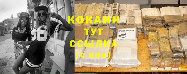 apvp Рославль