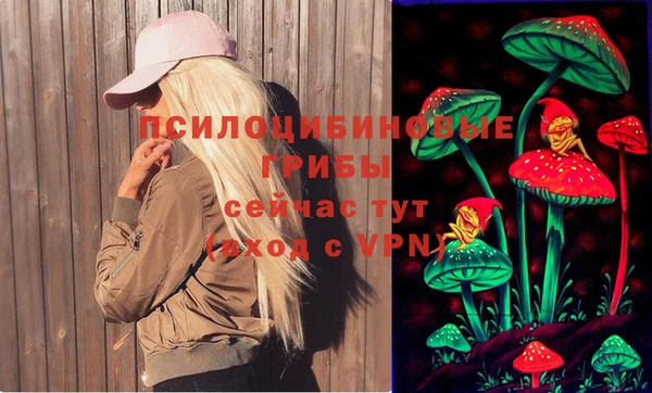 apvp Рославль
