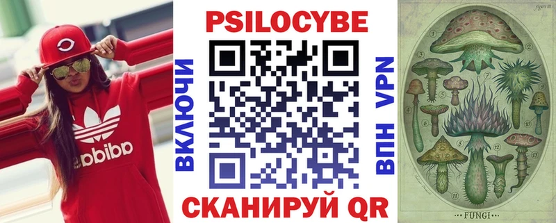 магазин    Курильск  Галлюциногенные грибы GOLDEN TEACHER 